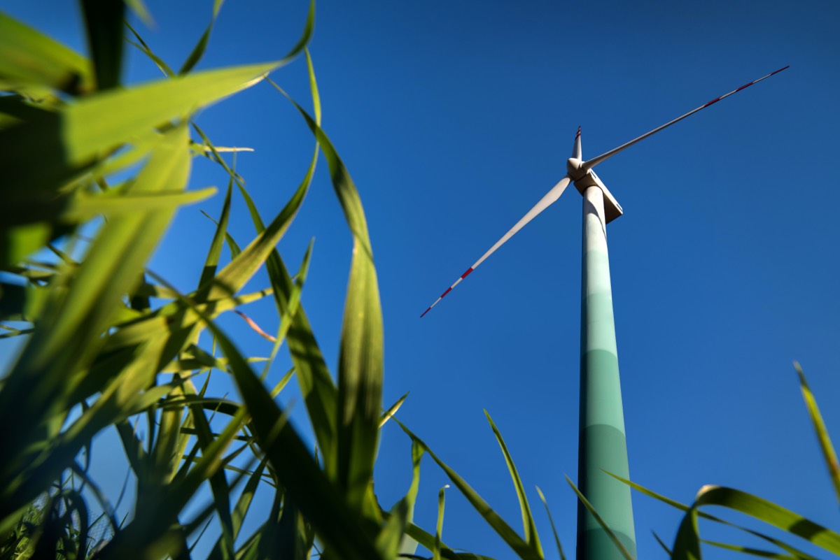 Erneuerbare Energien